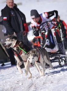 Teh Race Boys