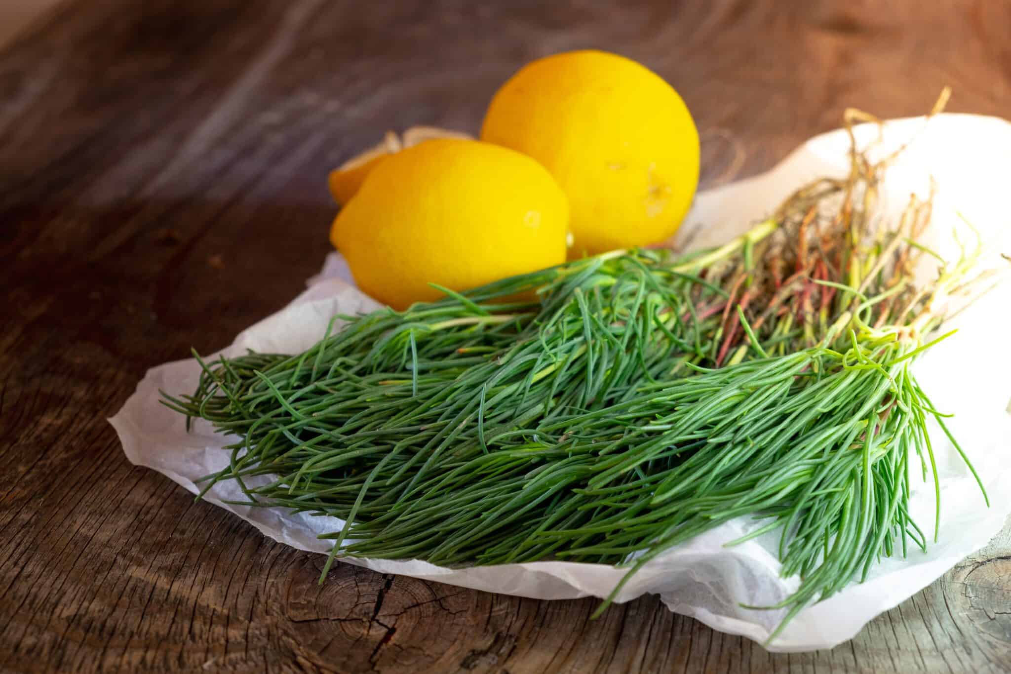 Agretti Abruzzese Recipes