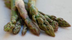 Asparagus