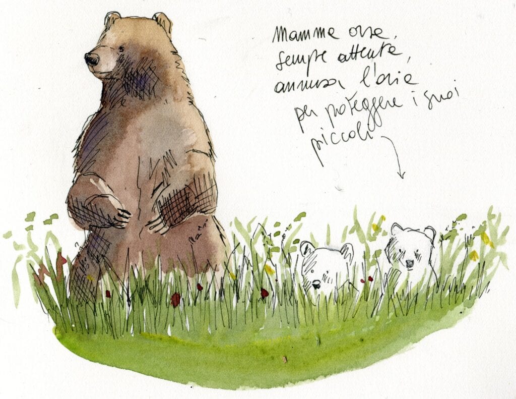 Sunday Live in Abruzzo with Salviamo l'Orso