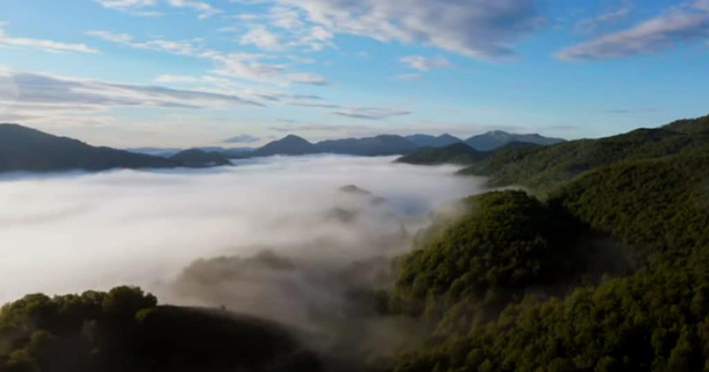 Rewilding Italy's Heart