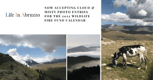 LifeInAbruzzo Wildlife Fire Fund