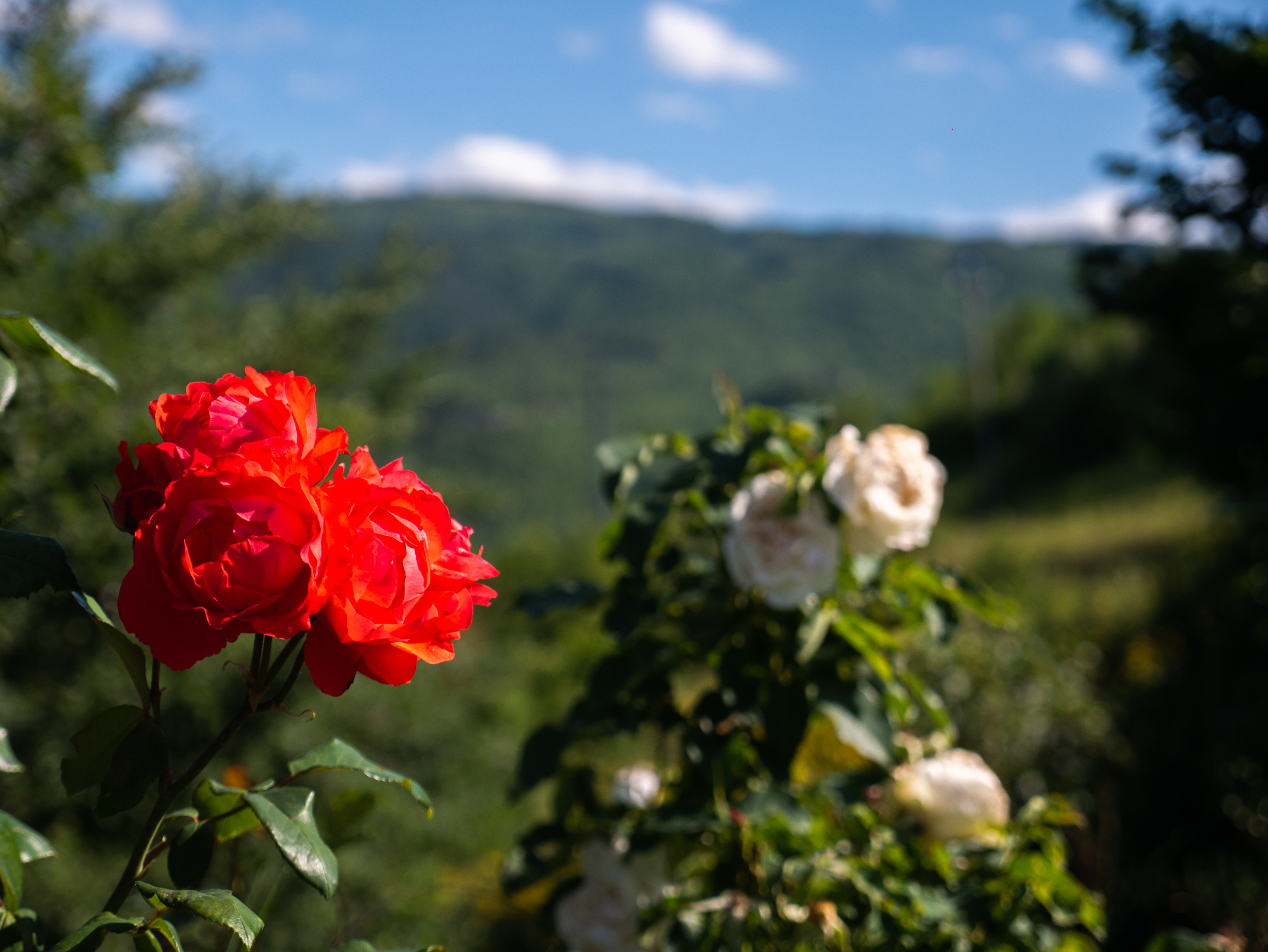 Casa Majella - Serramonacesca Holiday Rental