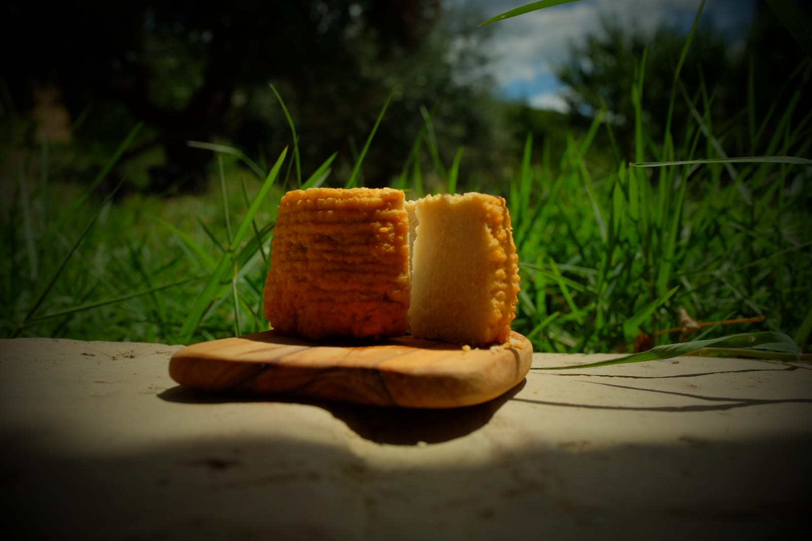 Fattoria Gioia -Artisan Goat Cheeses
