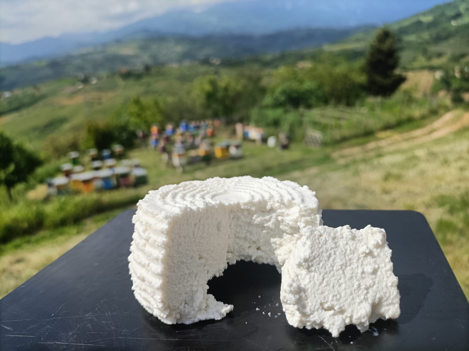 Fattoria Gioia -Artisan Goat Cheeses