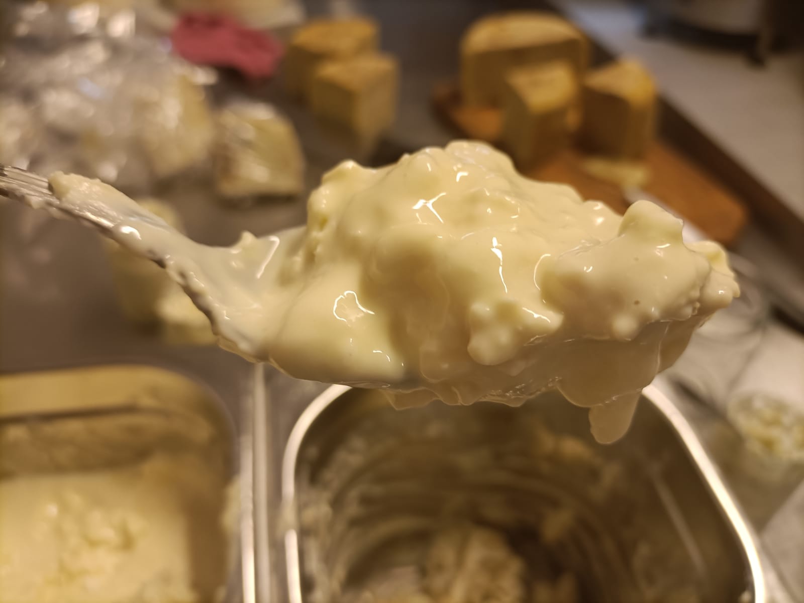 Fattoria Gioia -Artisan Goat Cheeses