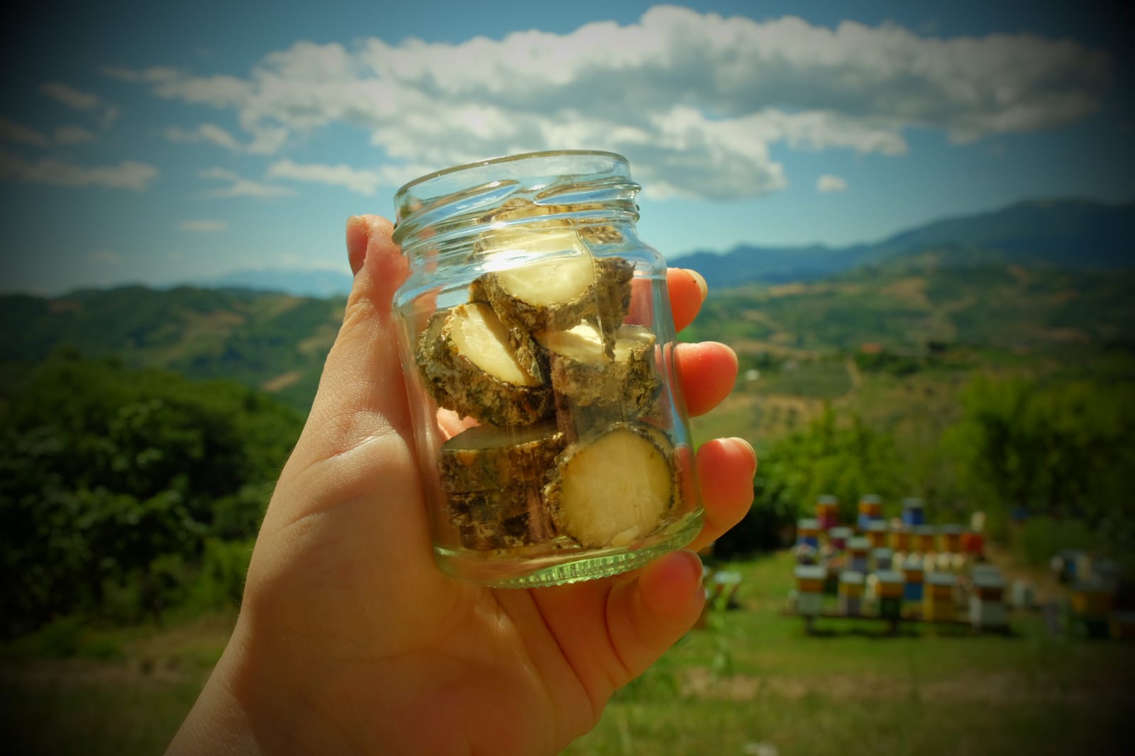 Fattoria Gioia -Artisan Goat Cheeses