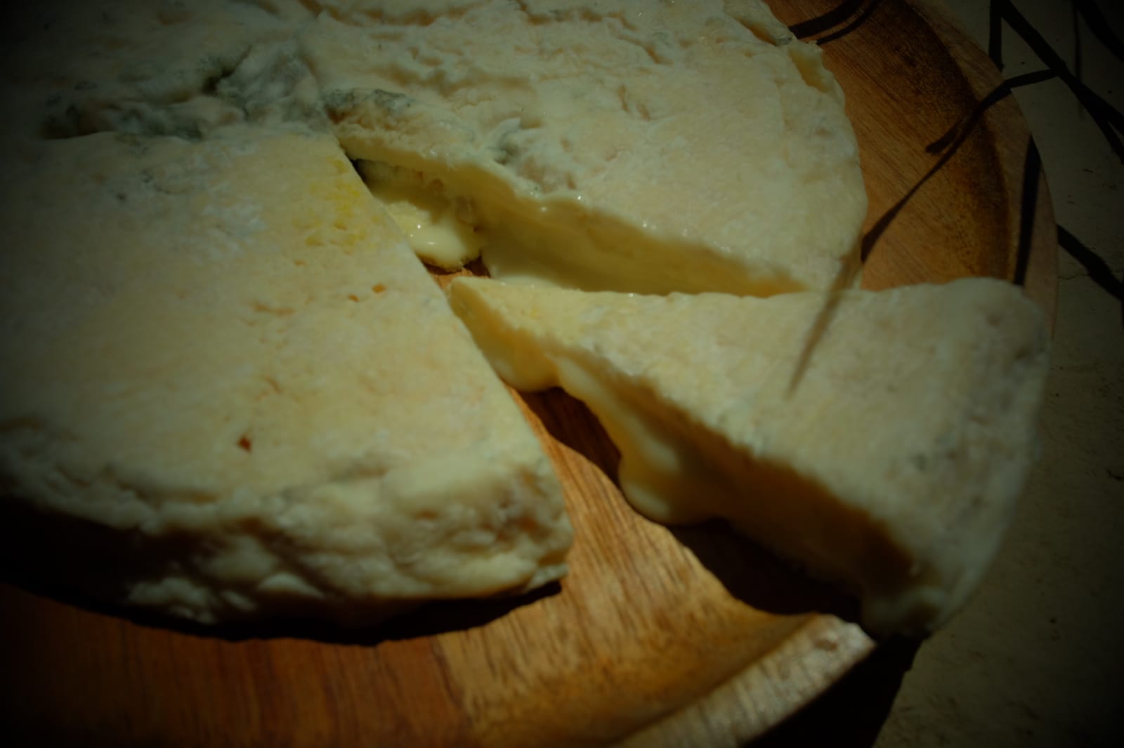 Fattoria Gioia -Artisan Goat Cheeses