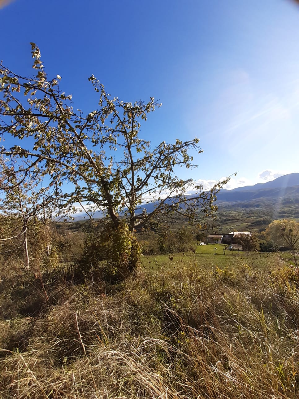 Rustic Private Property Sale Abruzzo - San Donato di Tagliacozzo
