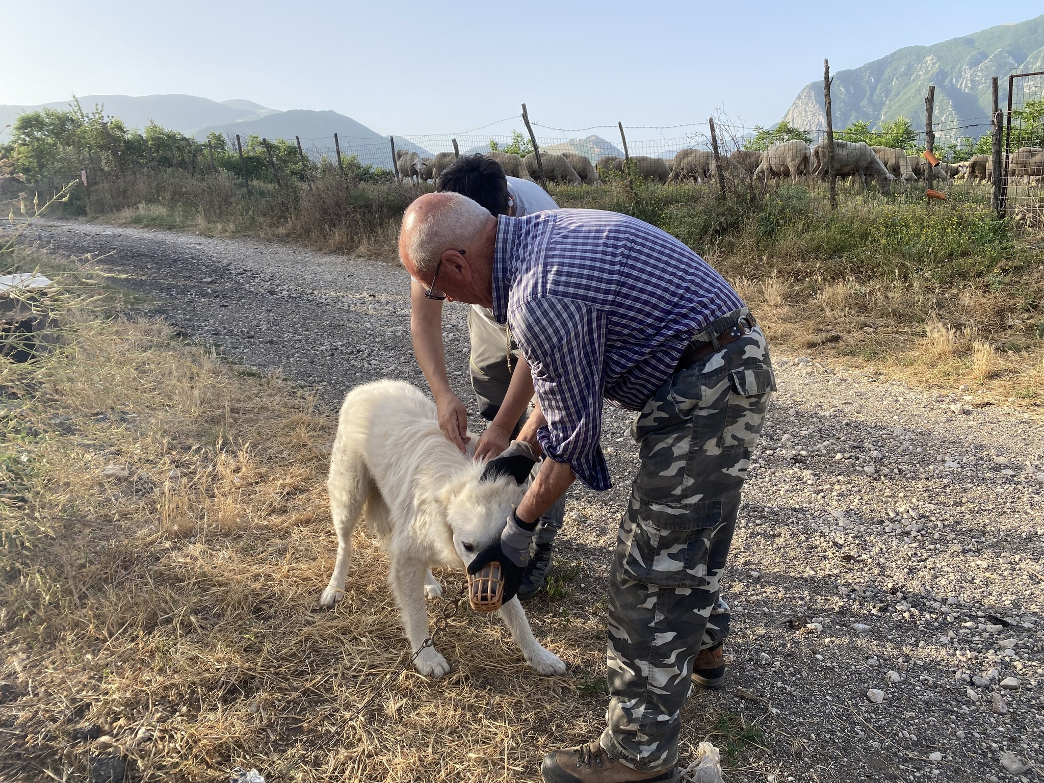 Salviamo l'Orso - Marsican Bear Charity