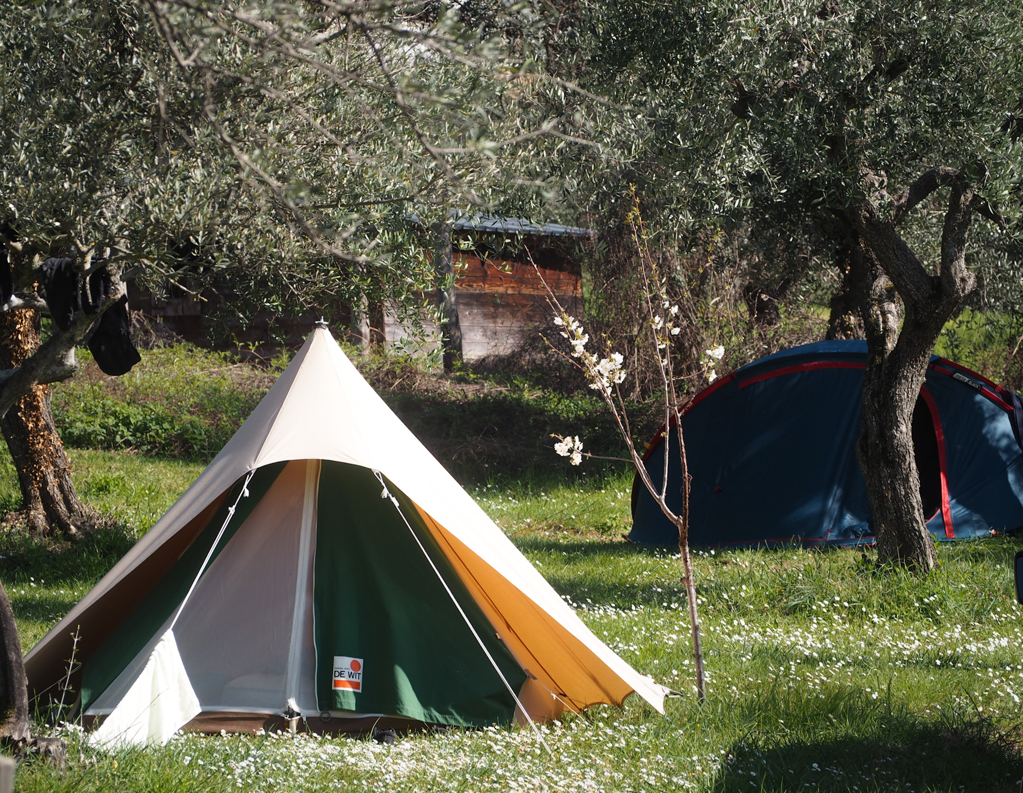 Kokopelli Camping Retreat