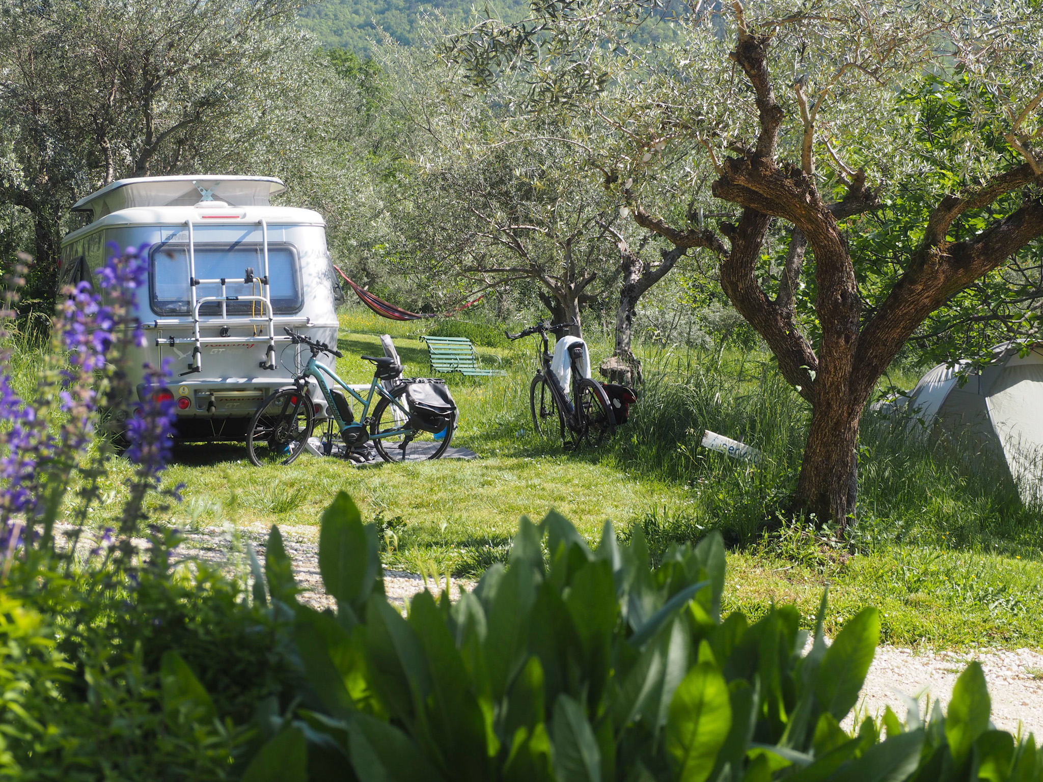 Kokopelli Camping Retreat
