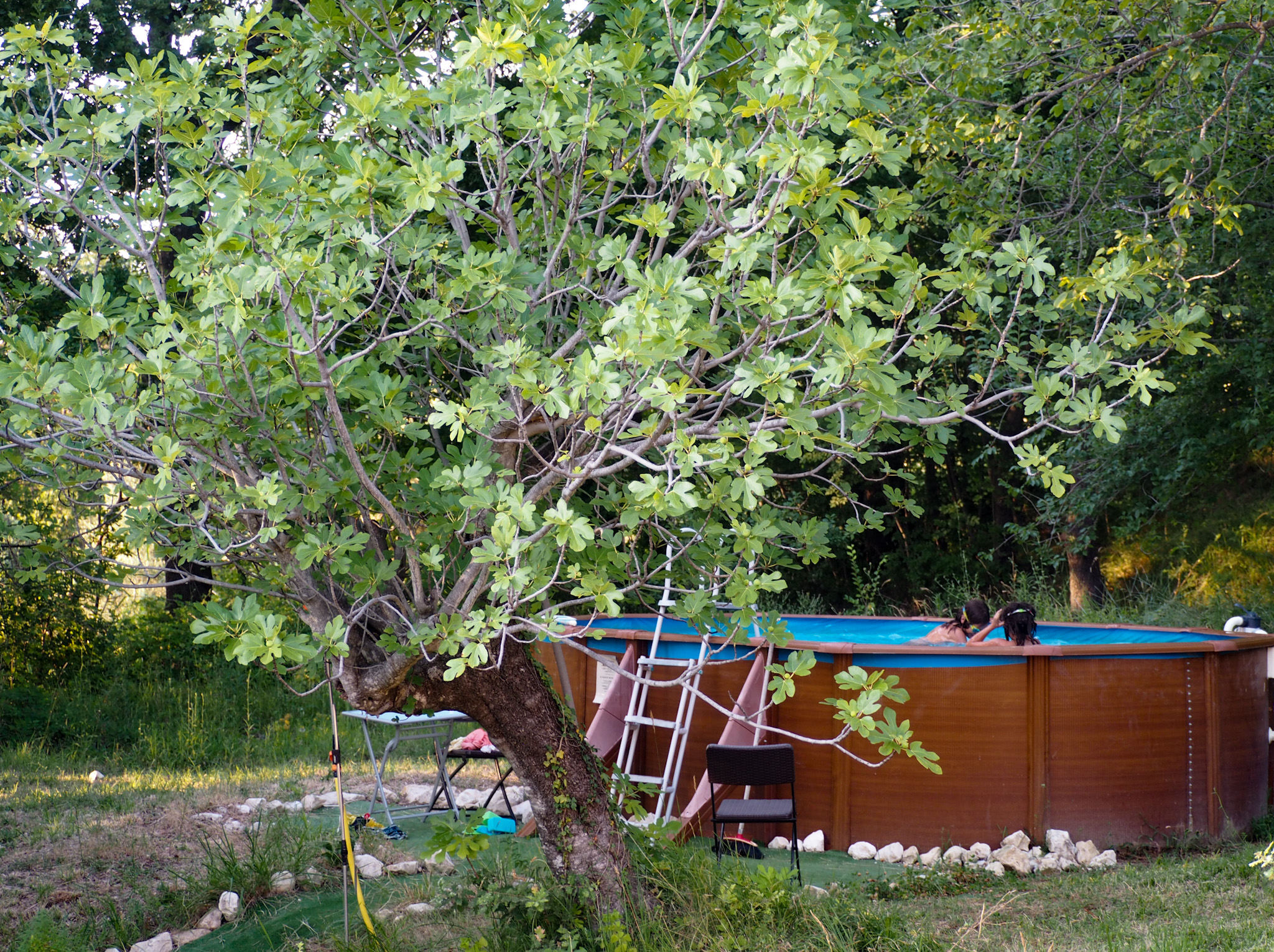 Kokopelli Camping Retreat