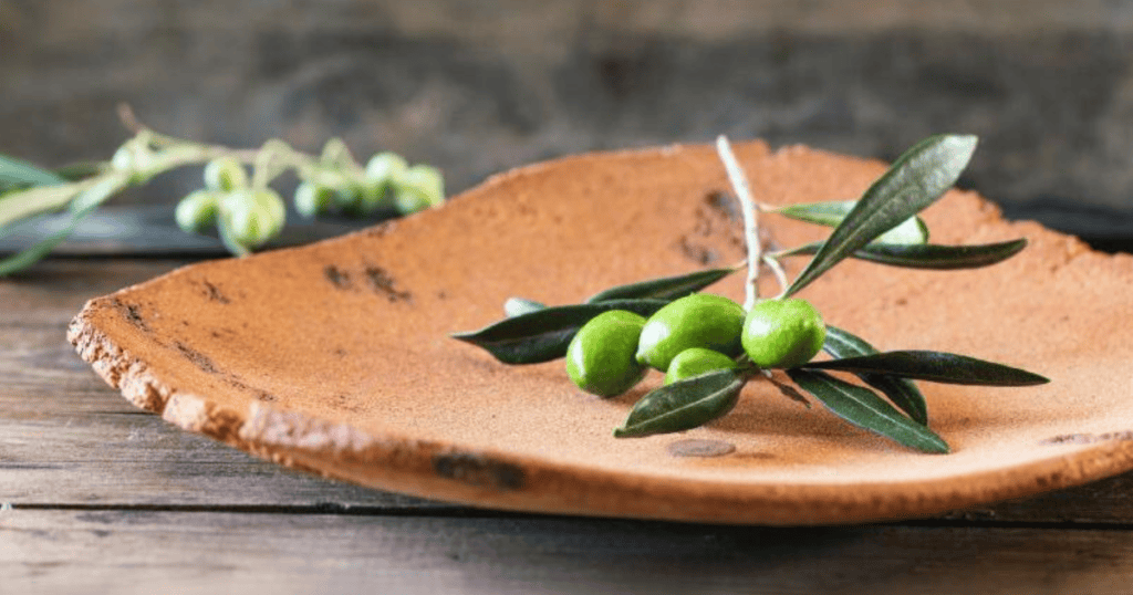 Olive Oil Tasting Abruzzo