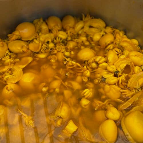 Saffron Pickled Calamari (scapece)