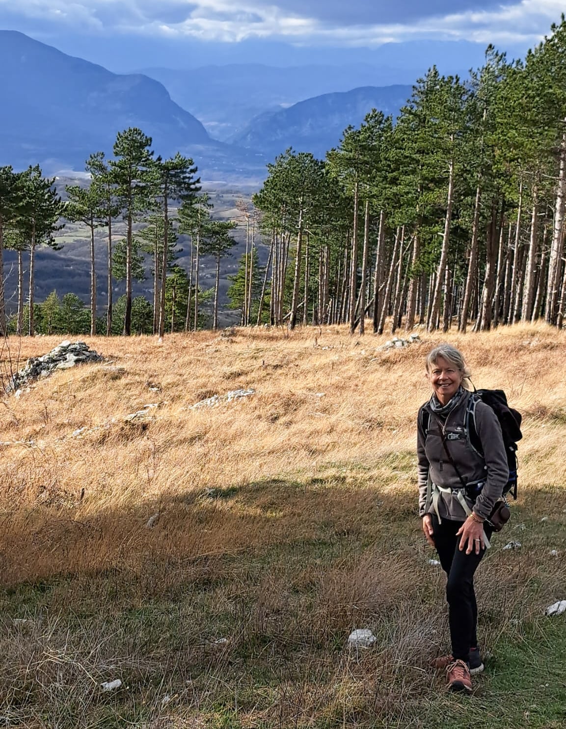 Forest Bathing & Slow Hiking