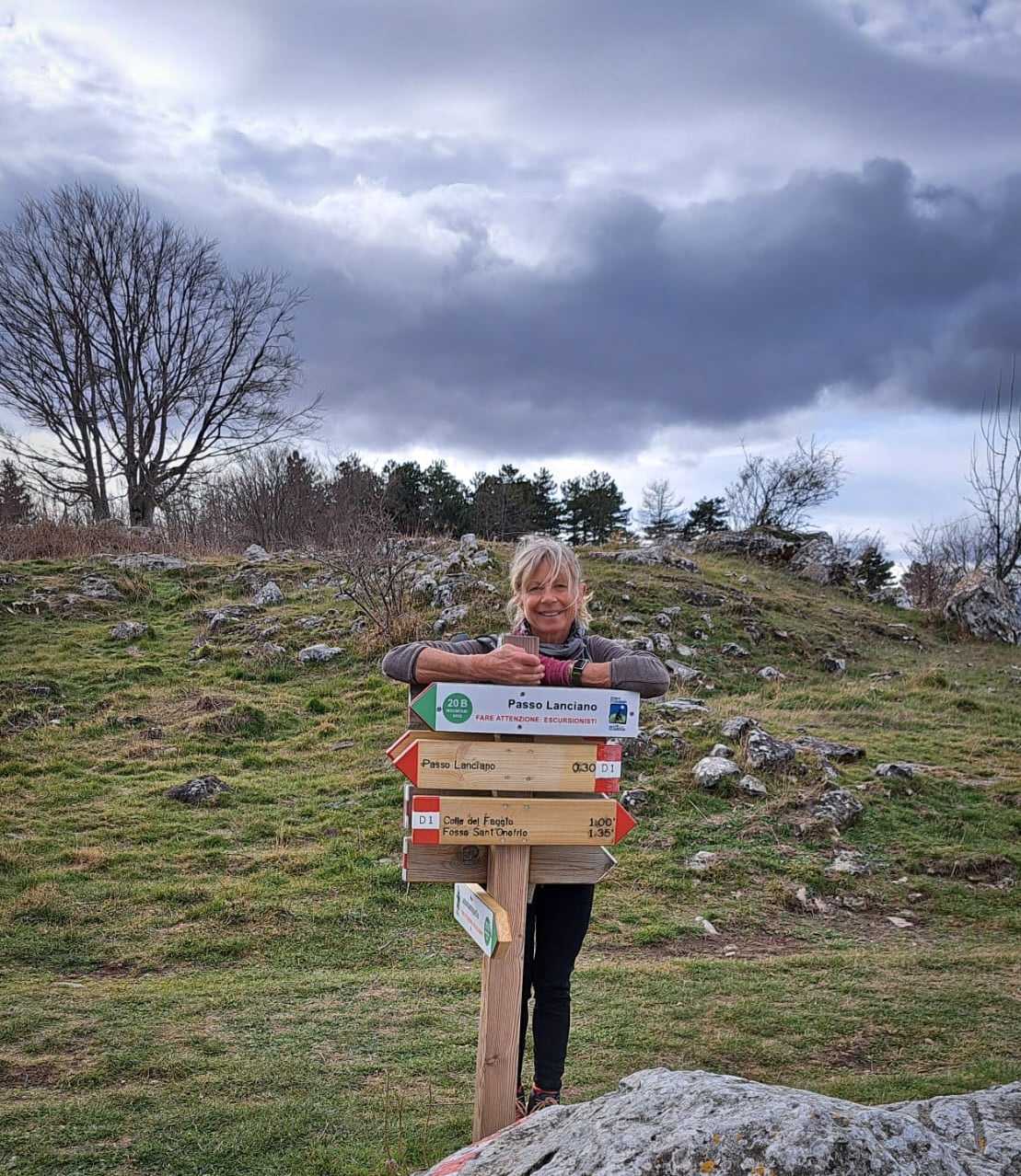 Forest Bathing & Slow Hiking