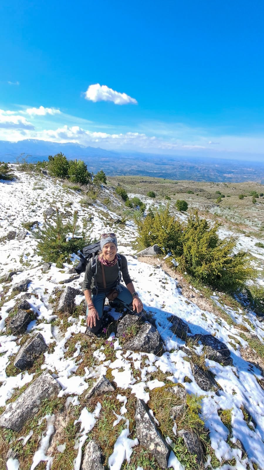 Forest Bathing & Slow Hiking