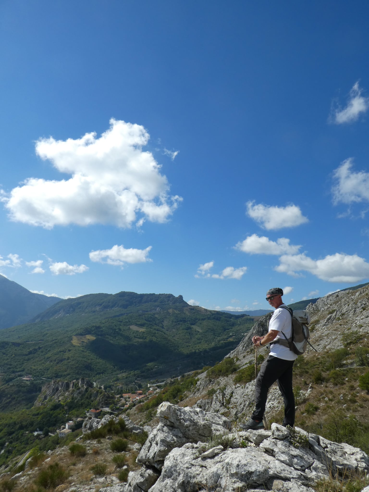 Forest Bathing & Slow Hiking