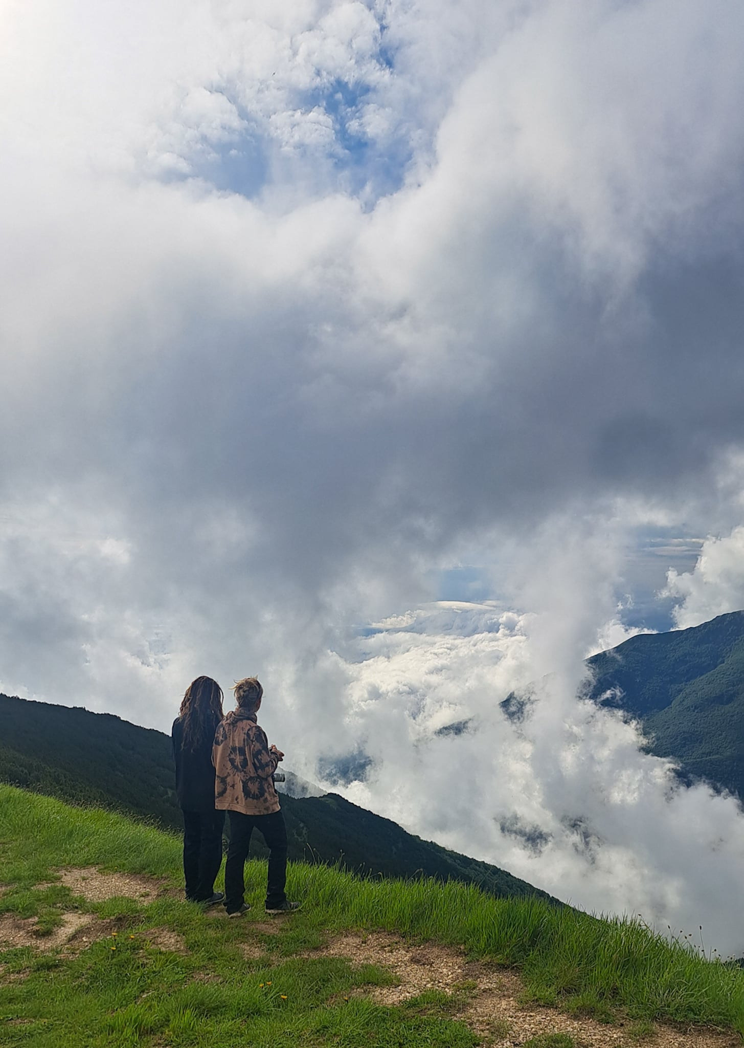 Forest Bathing & Slow Hiking