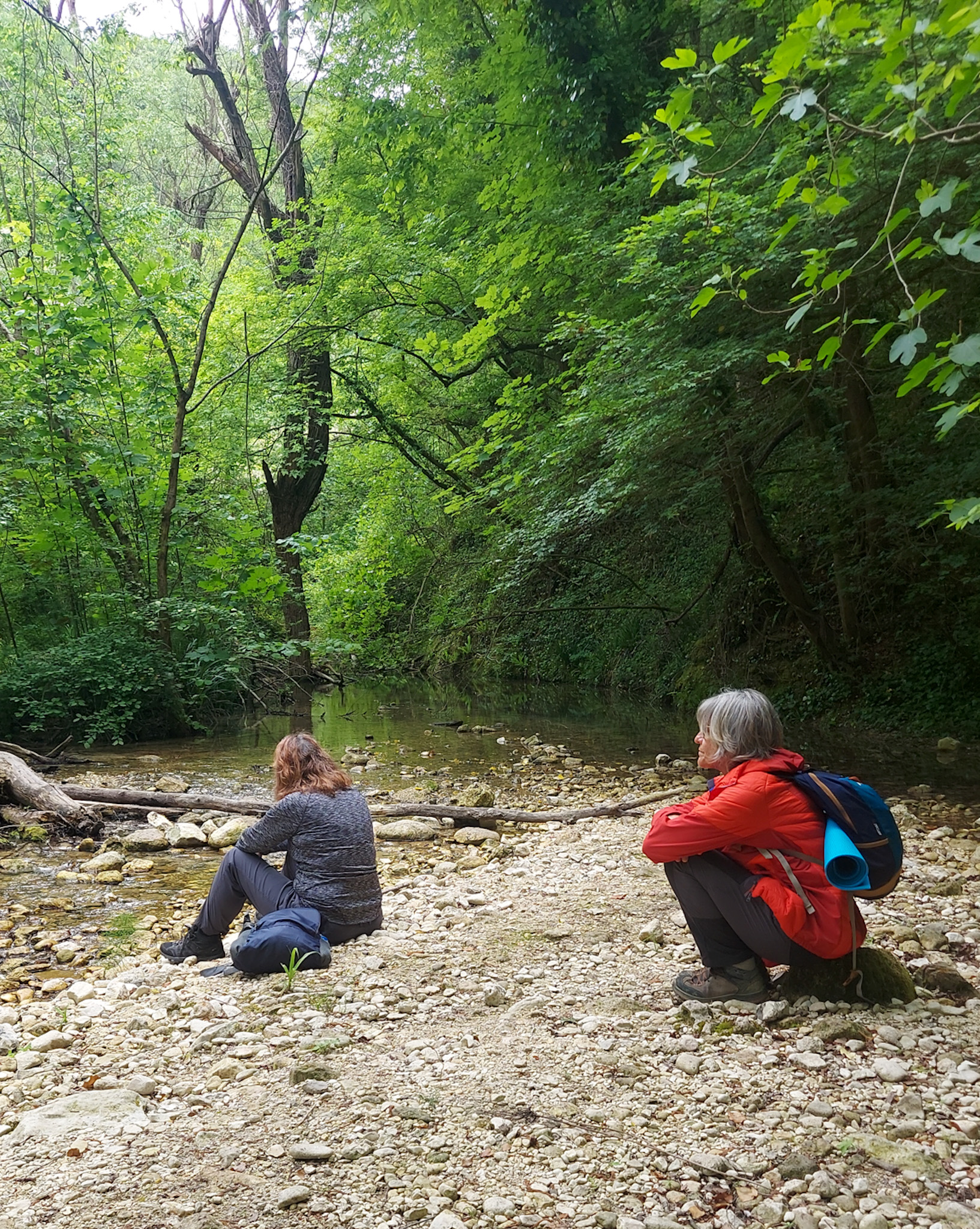 Forest Bathing & Slow Hiking