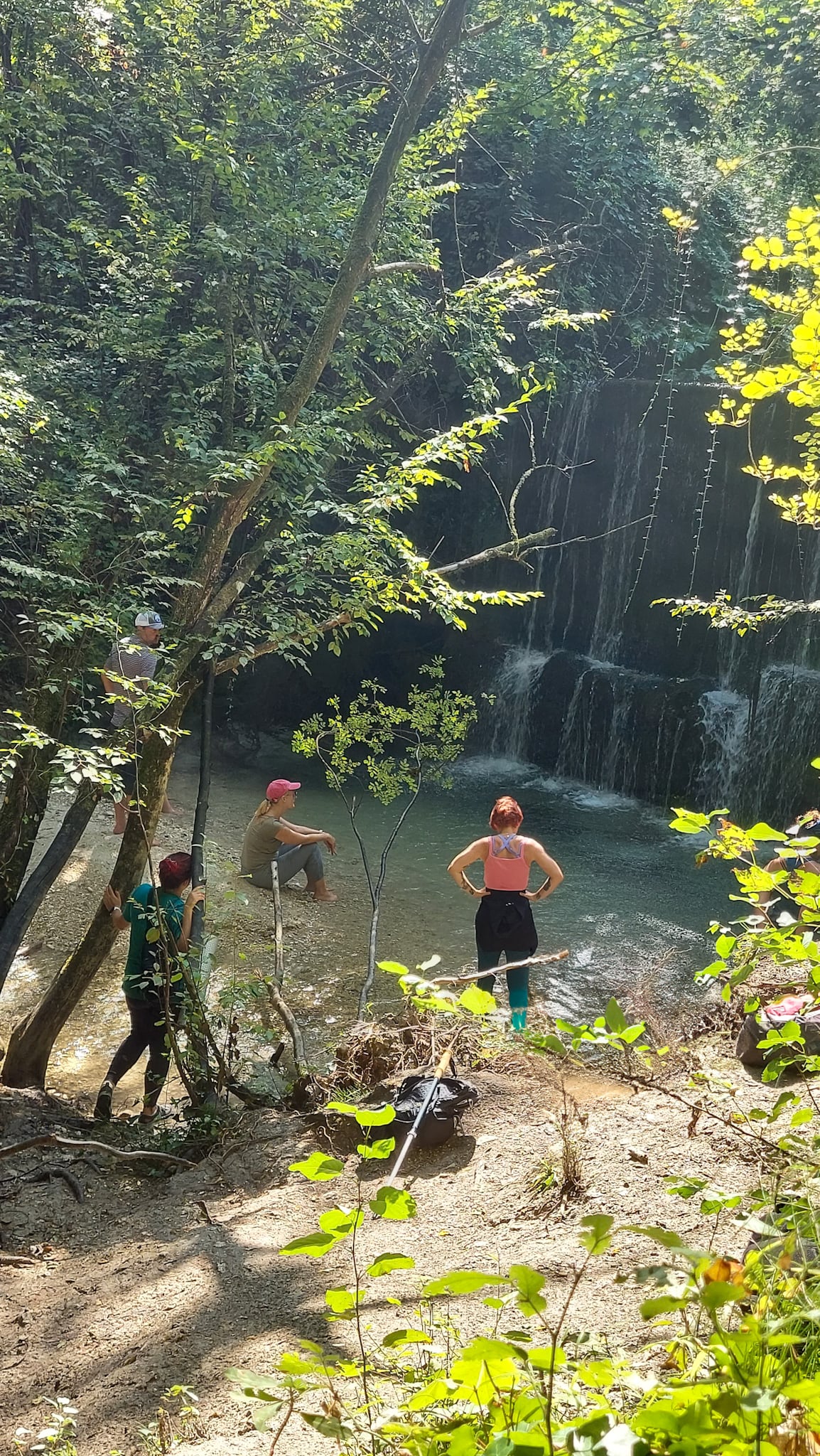 Forest Bathing & Slow Hiking