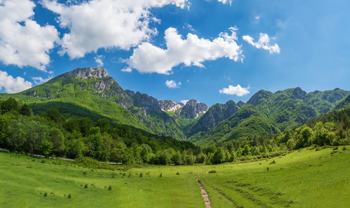 Passucci International Travel