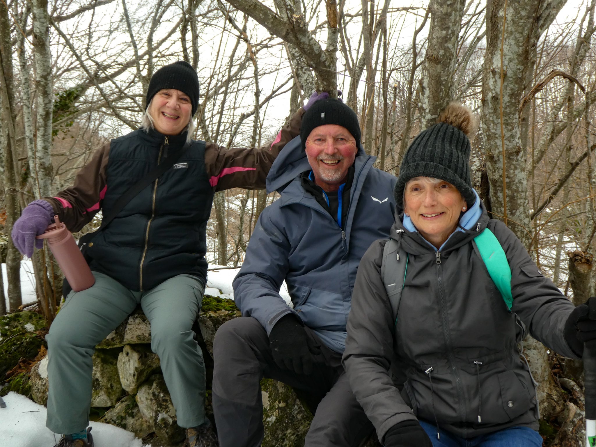 Forest Bathing & Slow Hiking