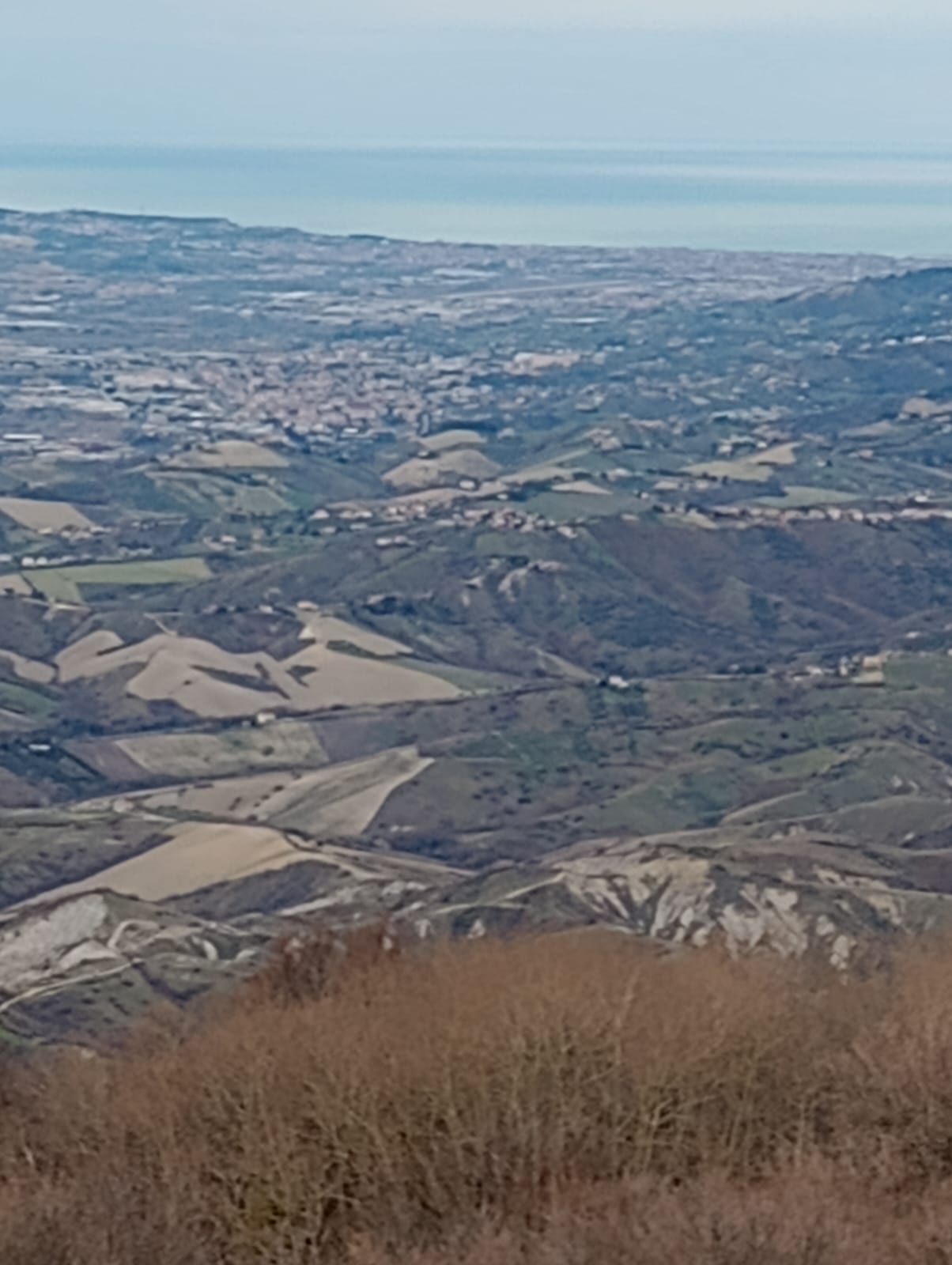 Forest Bathing & Slow Hiking