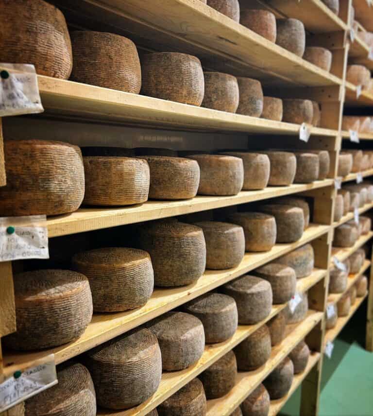 Marcelli Formaggi – Abruzzesi Artisan Cheeses & Speciality Products in the USA