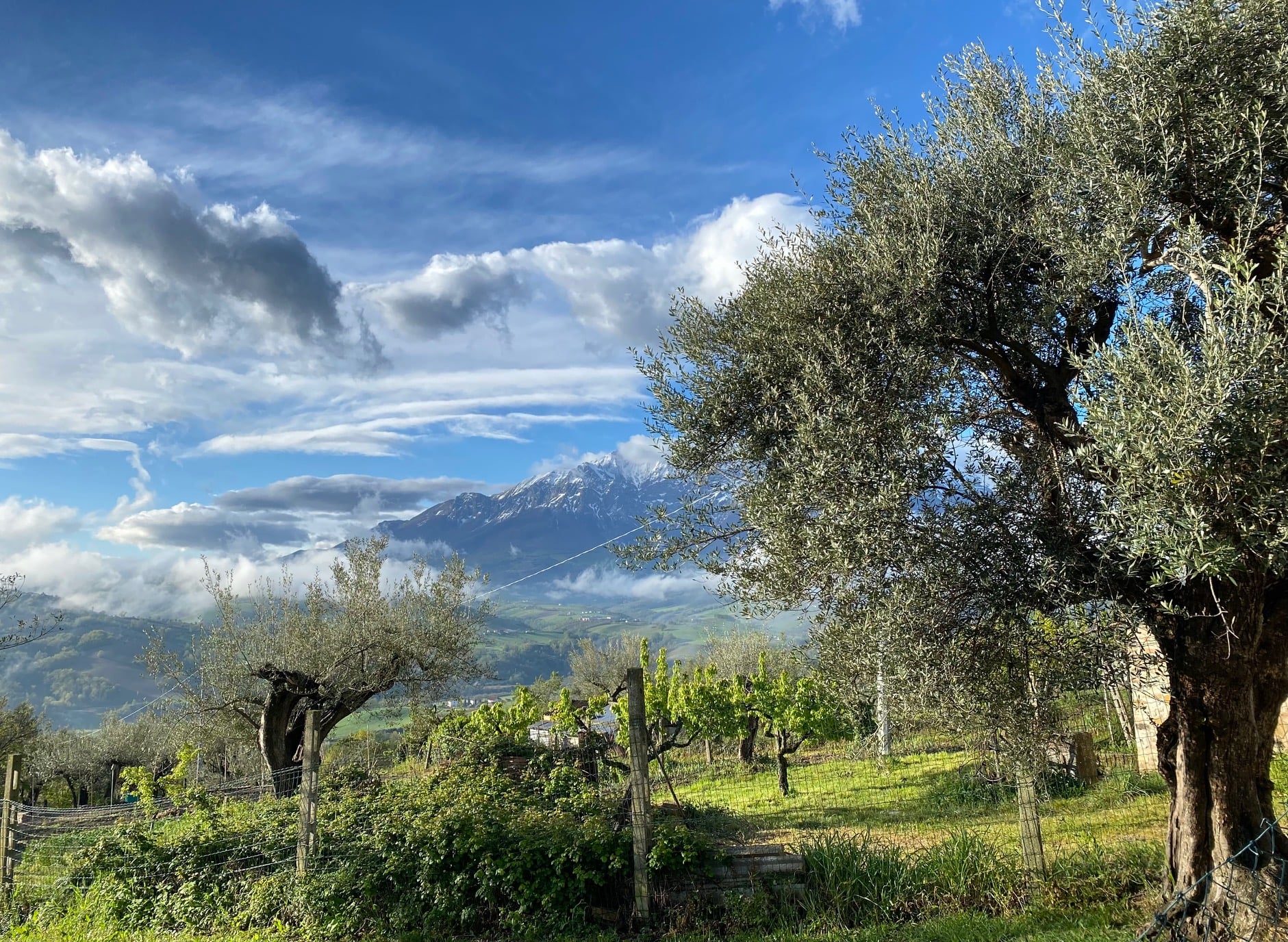 Little House of the Firefly - Teramo Long-term Rental Near Gran Sasso National Park