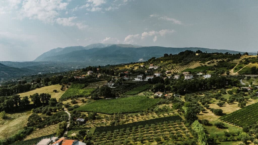For Sale – Productive Chieti Olive Farm with Majestic Views, Near Sea & Mountains