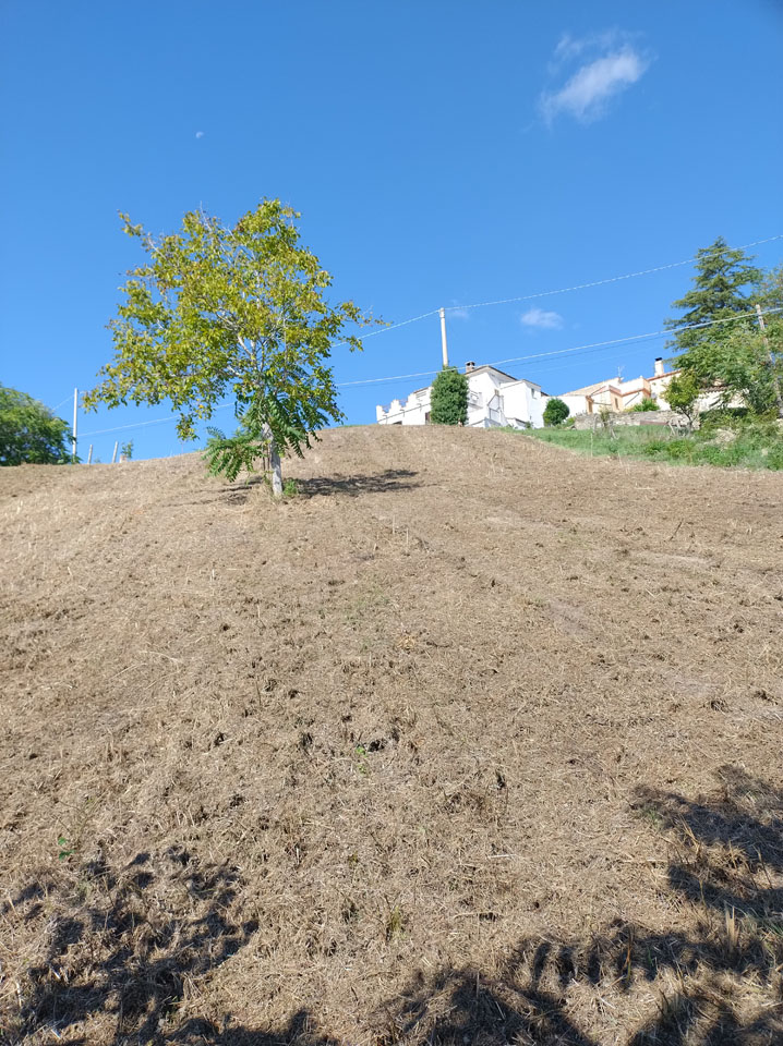 Restored Roccafinadomo Farmhouse for Abruzzo Home or Business