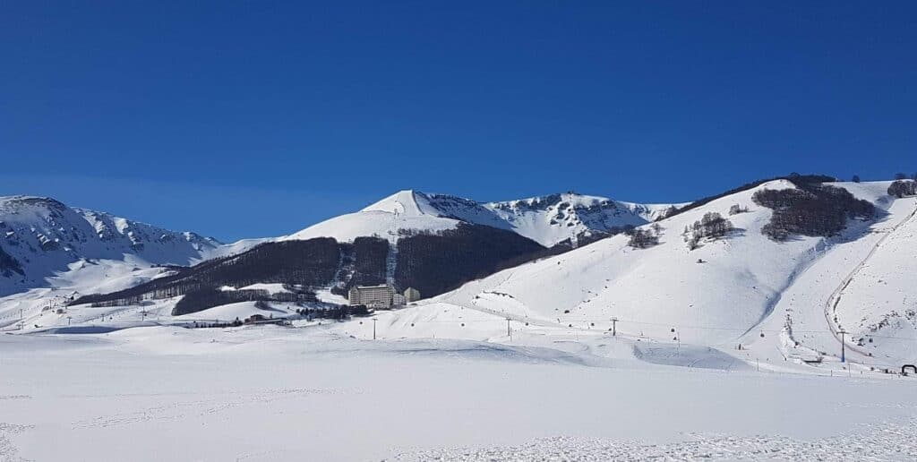 Tours, Excursions & Guides