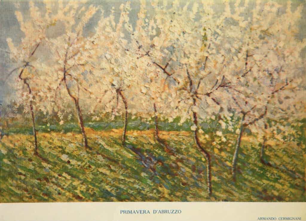 Almond trees in blossom during springtime in Abruzzo, showcasing vivid colours and natural beauty.