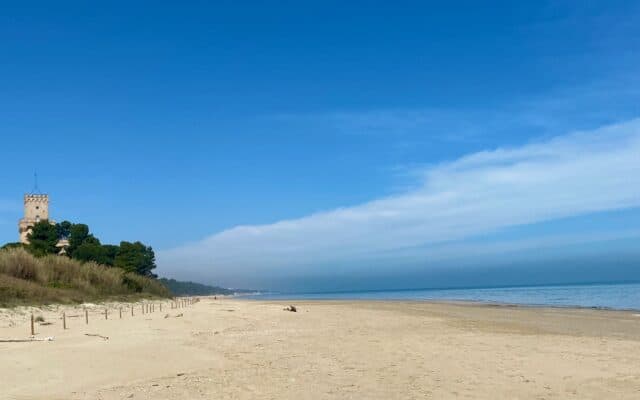 The Best Free Beaches in Abruzzo: Reserves and Wild Coast 2026