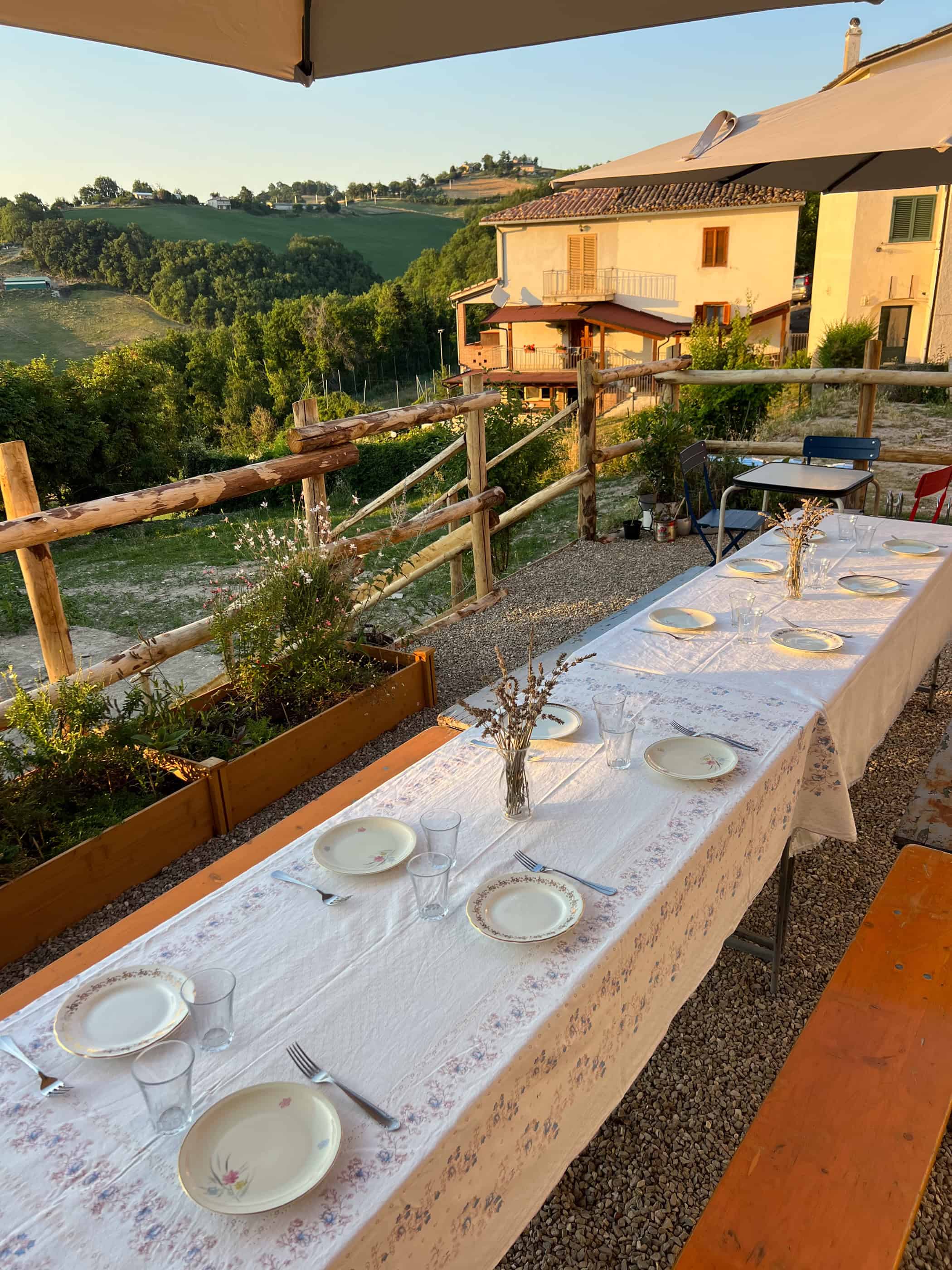 Selvatico: a Foraging Restaurant in Arsita, Teramo