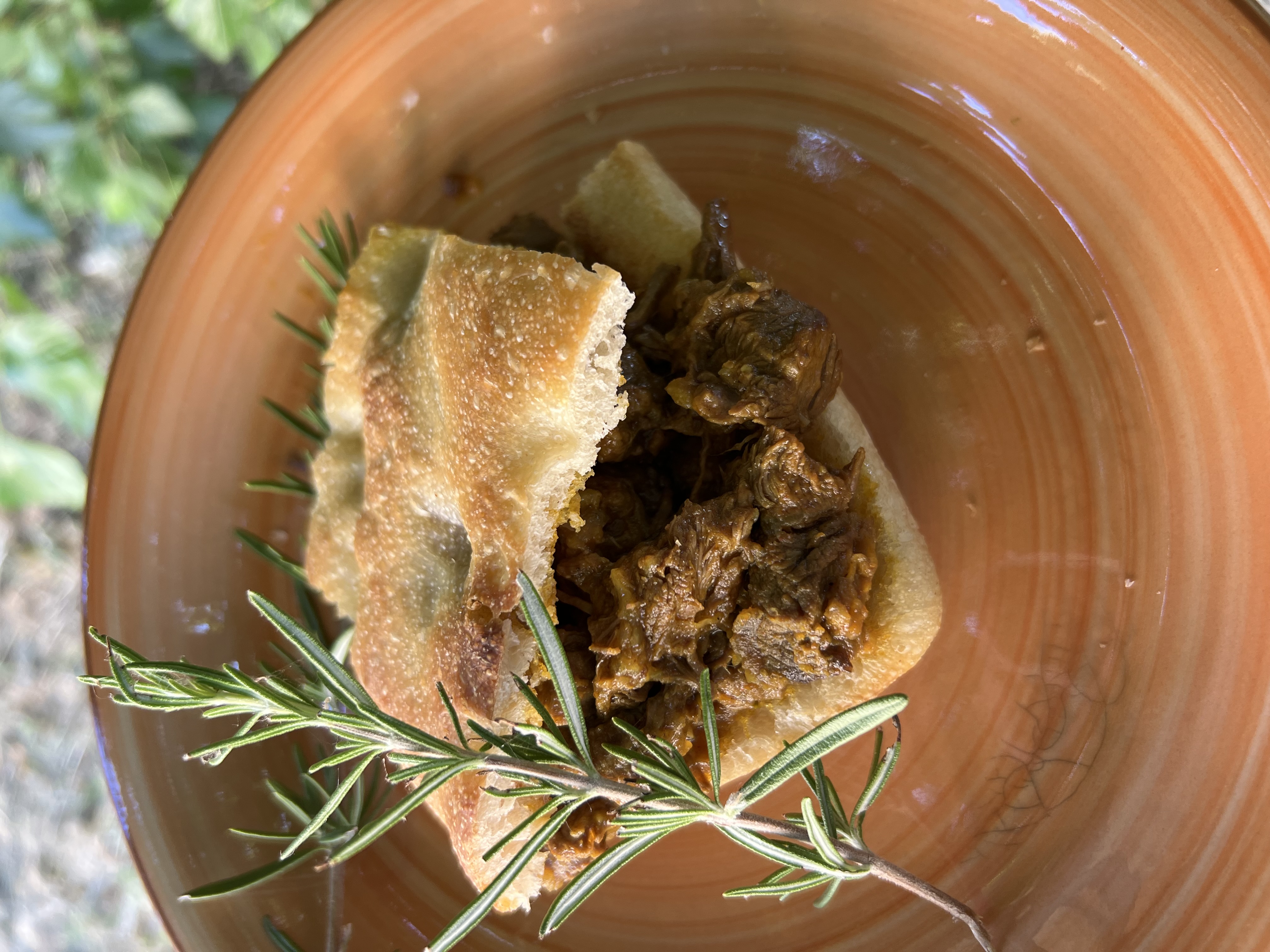 Selvatico: a Foraging Restaurant in Arsita, Teramo