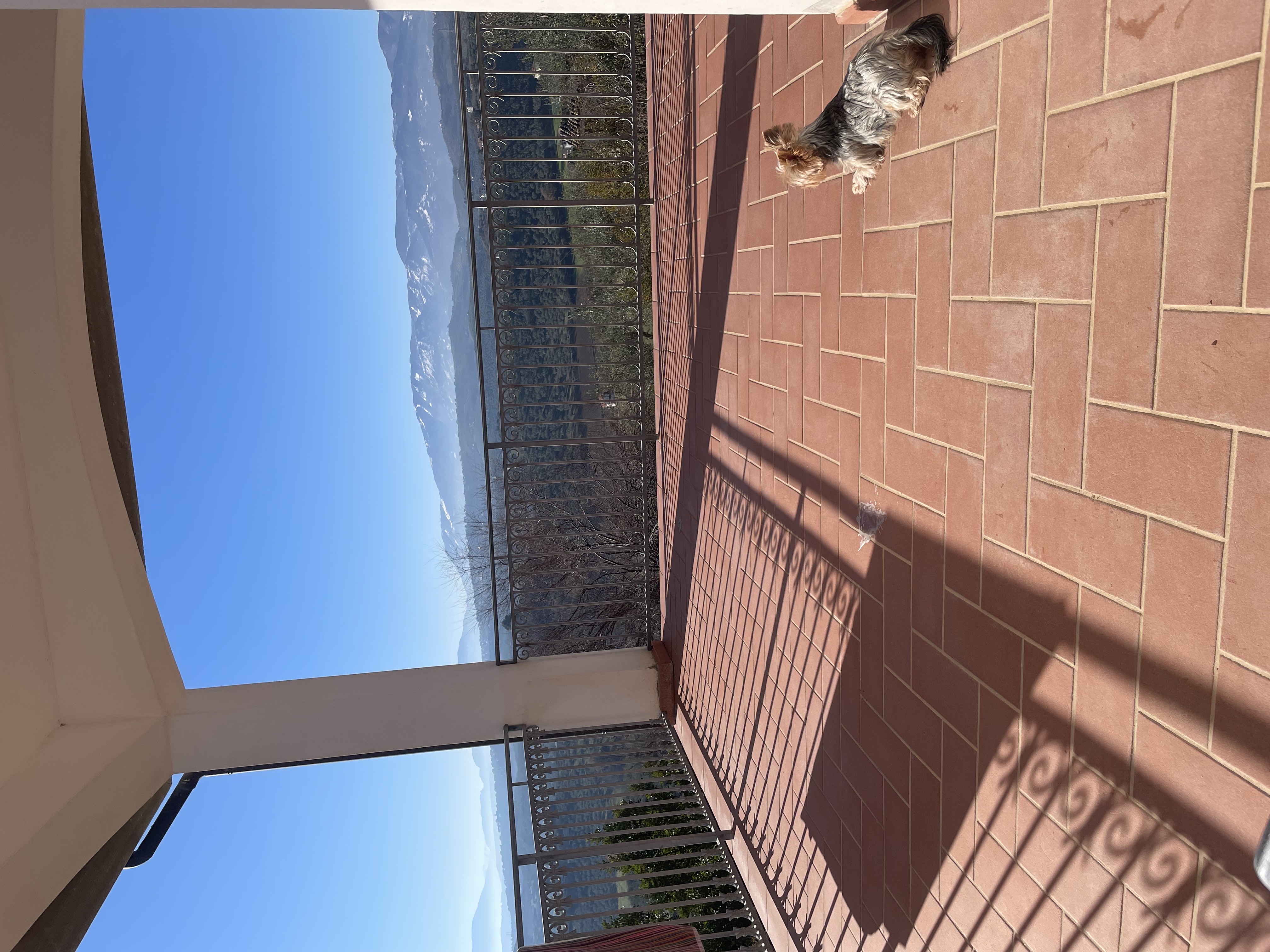 Daisy's Rest - Villa for Sale, Collecorvino, Pescara | Turnkey Home, Pool, Olive Grove