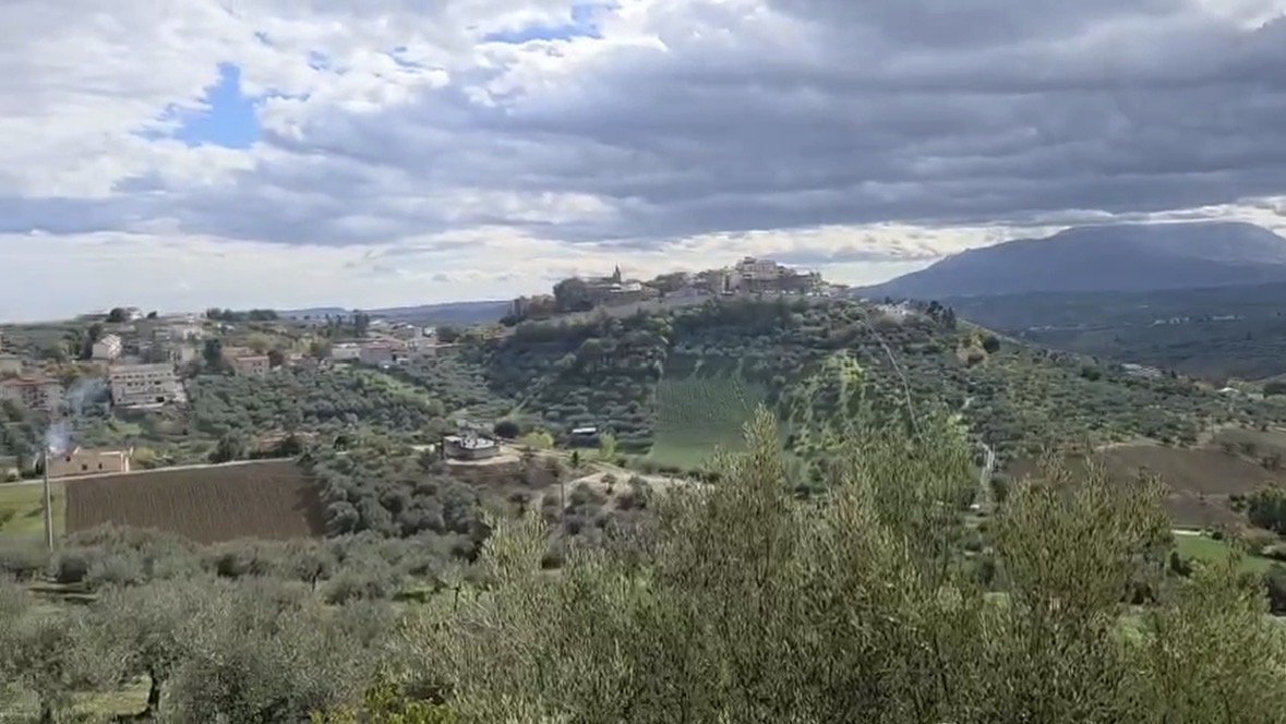 Daisy's Rest - Villa for Sale, Collecorvino, Pescara | Turnkey Home, Pool, Olive Grove