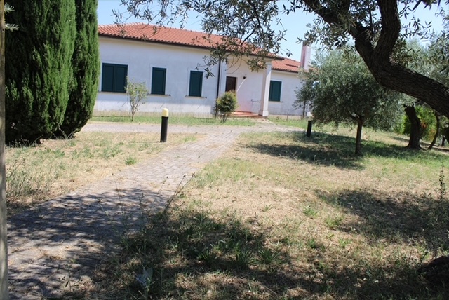 Daisy's Rest - Villa for Sale, Collecorvino, Pescara | Turnkey Home, Pool, Olive Grove