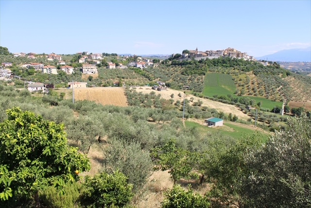 Daisy's Rest - Villa for Sale, Collecorvino, Pescara | Turnkey Home, Pool, Olive Grove