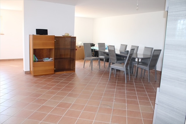 Daisy's Rest - Villa for Sale, Collecorvino, Pescara | Turnkey Home, Pool, Olive Grove