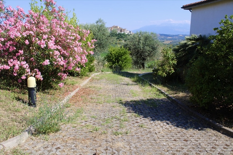 Daisy's Rest - Villa for Sale, Collecorvino, Pescara | Turnkey Home, Pool, Olive Grove