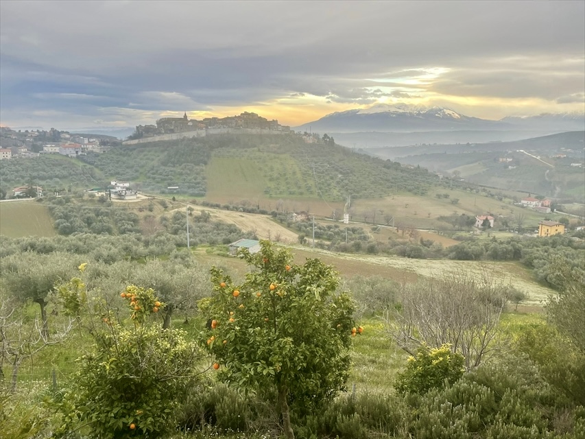 Daisy's Rest - Villa for Sale, Collecorvino, Pescara | Turnkey Home, Pool, Olive Grove