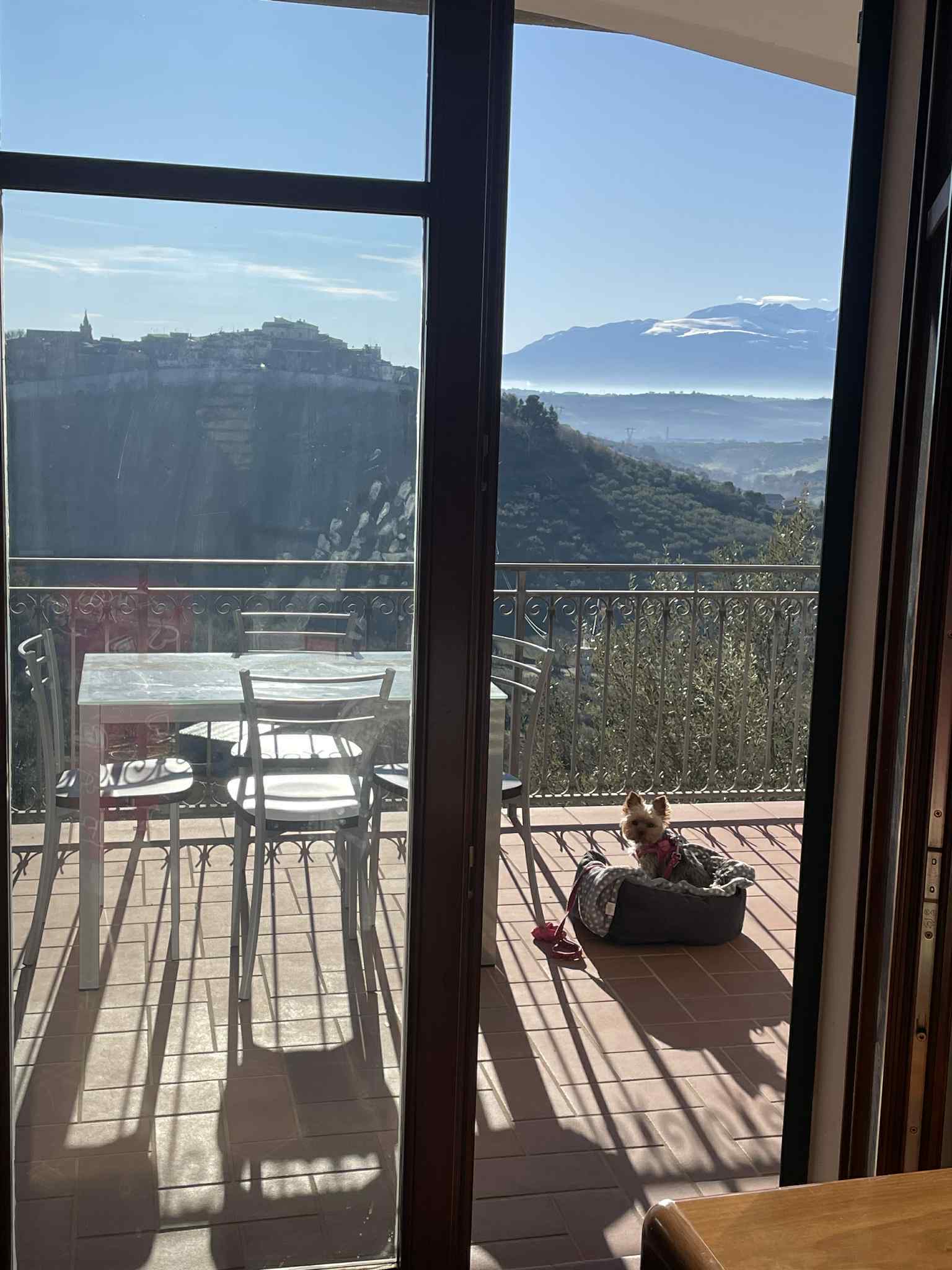 Daisy's Rest - Villa for Sale, Collecorvino, Pescara | Turnkey Home, Pool, Olive Grove