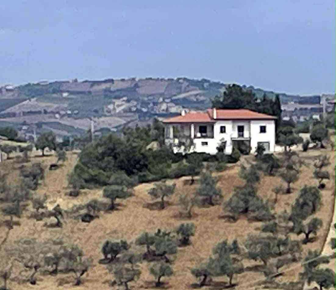 Daisy's Rest - Villa for Sale, Collecorvino, Pescara | Turnkey Home, Pool, Olive Grove