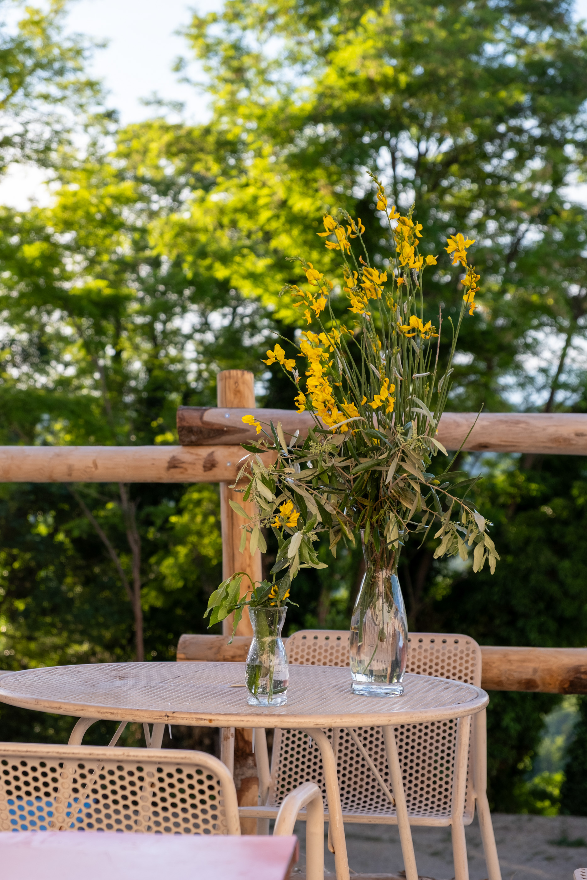 Selvatico: a Foraging Restaurant in Arsita, Teramo