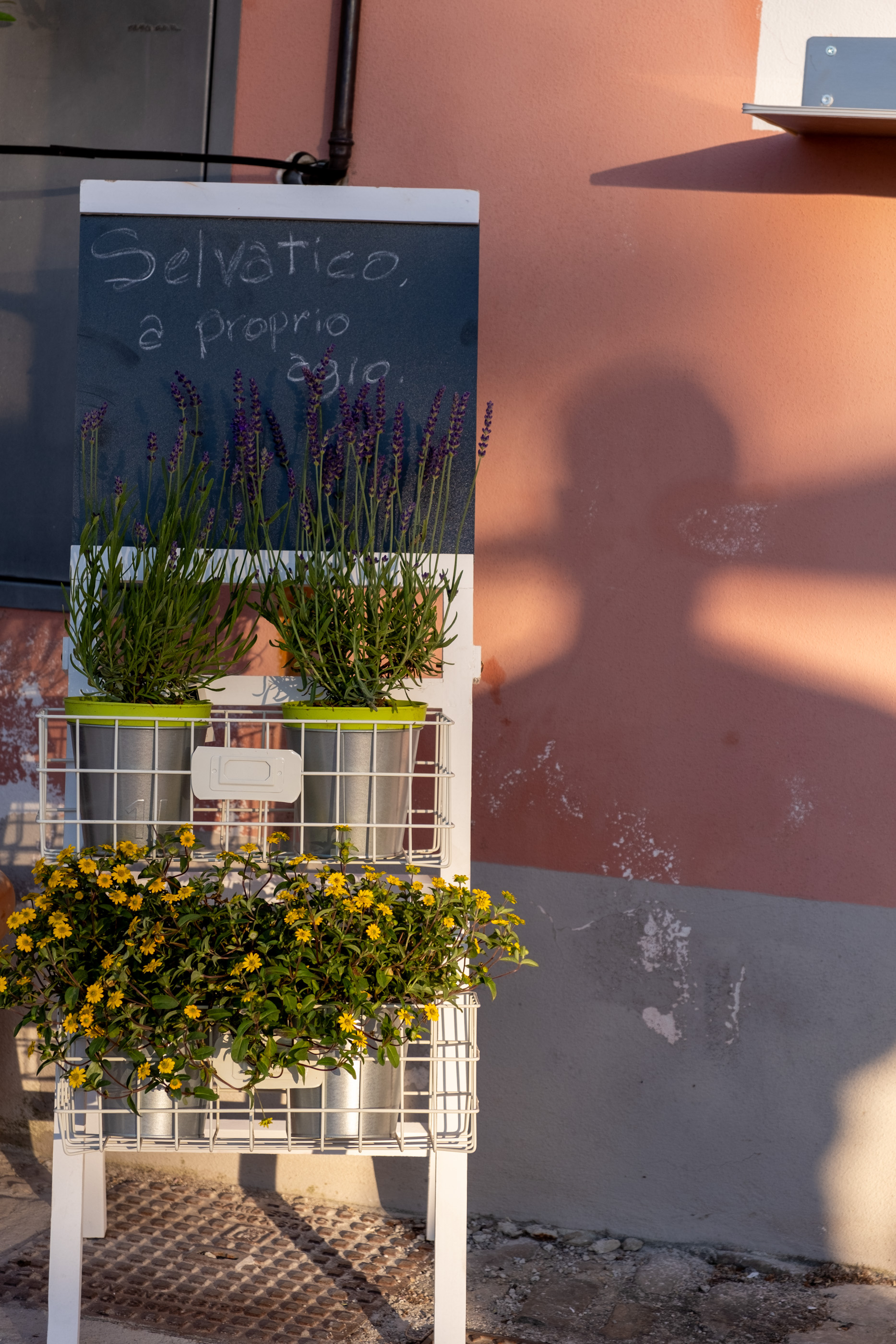 Selvatico: a Foraging Restaurant in Arsita, Teramo