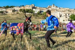 Navelli Donkey Race